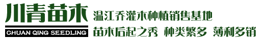 智宇物聯網卡平臺logo